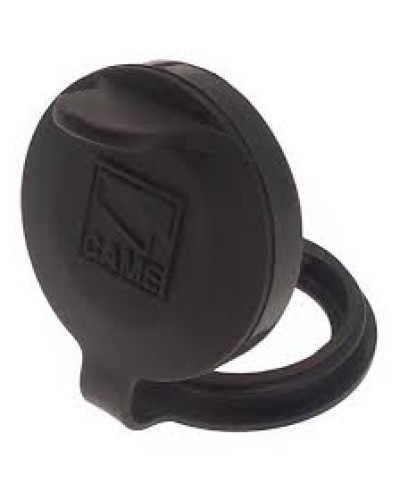 Защита целиндра замка A4366 Came 119RIA051 в Октябрьском Запчасти для шлагбаумов и автоматики Pintop.ru