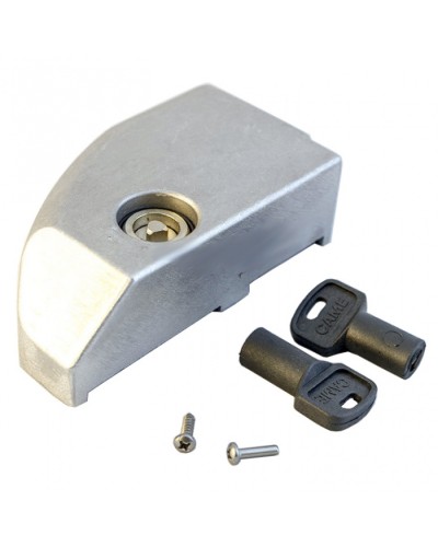 Дверца замка разблокировки BK Came 119RIBK012 в Октябрьском Запчасти для шлагбаумов и автоматики Pintop.ru