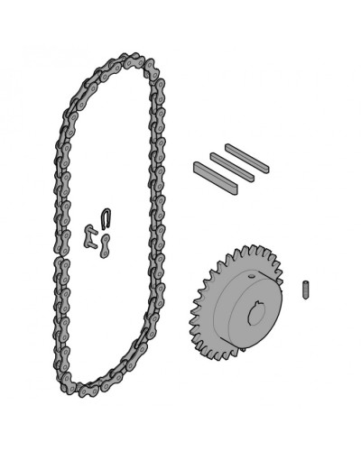 Передающая система (цепь и звездочки) C005 Came 119RICX016 в Октябрьском Запчасти для шлагбаумов и автоматики Pintop.ru