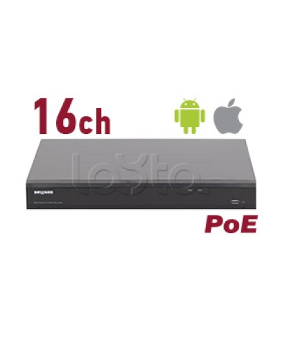IP-видеорегистратор Beward RK2216-P в Октябрьском IP Видеорегистраторы Pintop.ru