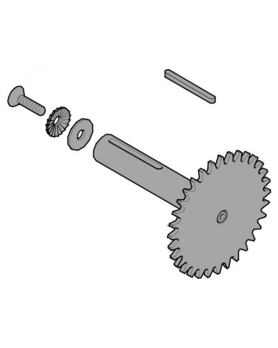 Звездочка C003 C004 C005 Came 119RICX013 в Октябрьском Запчасти для шлагбаумов и автоматики Pintop.ru
