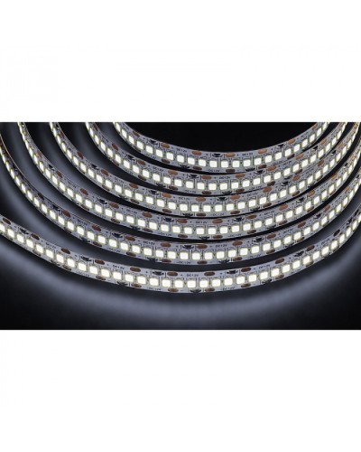 Лента светодиодная Navigator 14 459 NLS-2835CW240-24-IP20-12V в Октябрьском Источники света(Лампы) Pintop.ru