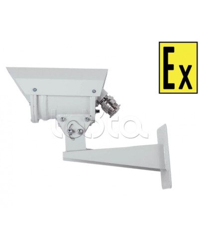 IP-камера видеонаблюдения в стандартном исполнении Компания СМД Орион МК ВК Тип-5 IP/2MP-А-12В в Октябрьском Взрывозащищенные камеры Pintop.ru