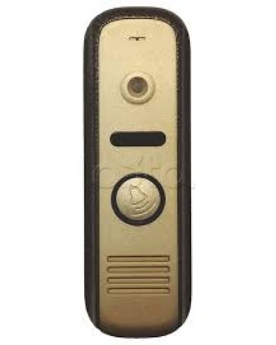 Панель вызывная CTV-D1000HD BA в Октябрьском Вызывные видеопанели малоабонентные Pintop.ru