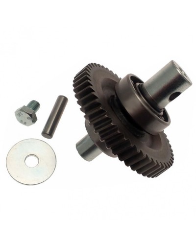 Шестерня редуктора FAST в сборе Came 119RID229 в Октябрьском Запчасти для шлагбаумов и автоматики Pintop.ru