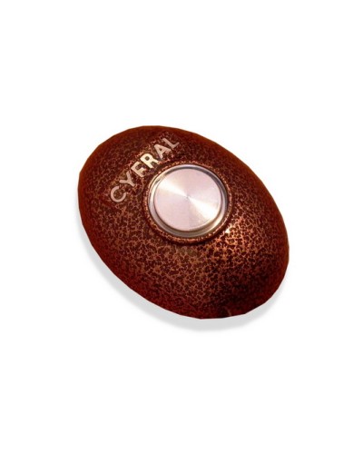 Кнопка открывания двери Цифрал КОДсП-4 в Октябрьском Многоабонентные устройства Pintop.ru