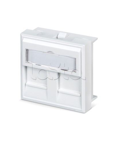 Вставка 45x45 (аналог Mosaic) для 2 модулей формата Keystone Jack Cabeus FP-45-2M в Октябрьском Модули Keystone Pintop.ru