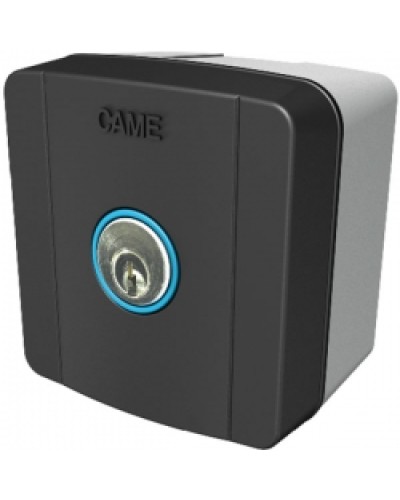 Ключ-выключатель накладной Came 806SL-0010 в Октябрьском Автоматизация ворот Pintop.ru
