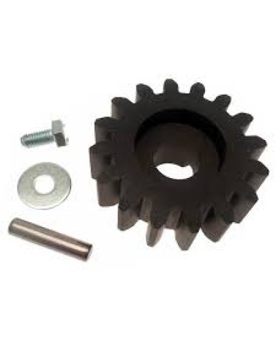 Шестерня для цепной передачи Came 119RIBK036 в Октябрьском Запчасти для шлагбаумов и автоматики Pintop.ru