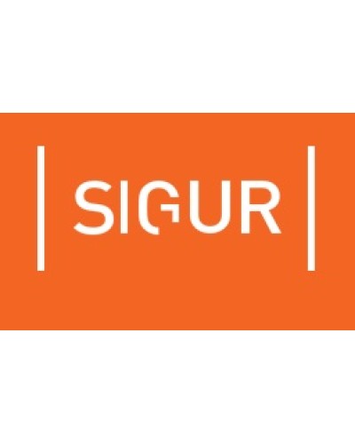 ПО Базовый модуль, ограничение до 50 карт доступа SIGUR в Октябрьском Сетевая СКУД Sphinx Pintop.ru
