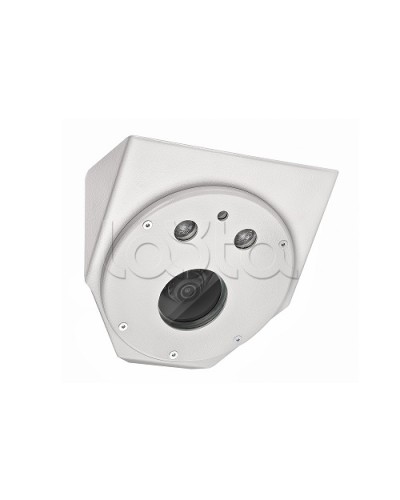 Цифровая в/камера с разрешением 2 Мп Релион-М-50-П-Б-IP-2Мп-PоE-TR в Октябрьском Взрывозащищенные камеры Pintop.ru