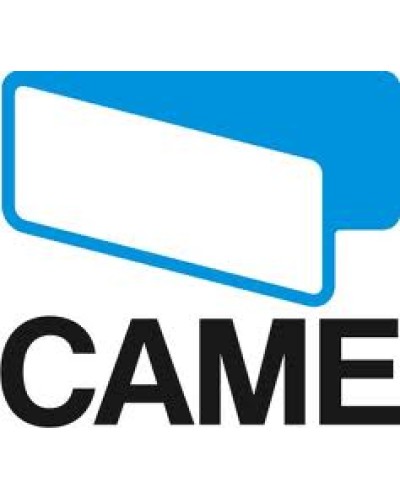 Каретка концевых выключателей Came 119RID202 в Октябрьском Запчасти для шлагбаумов и автоматики Pintop.ru