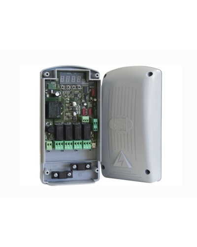 Радиодекодер Came 806RV-0010 в Октябрьском Запчасти для шлагбаумов и автоматики Pintop.ru