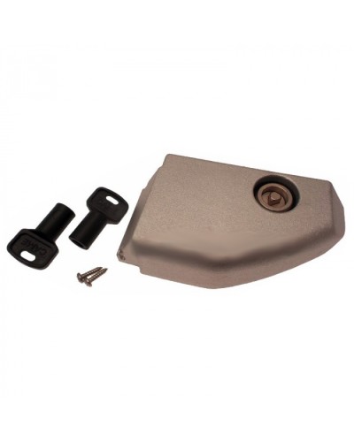 Дверца разблокировки с замком BX Came 119RIBX008 в Октябрьском Запчасти для шлагбаумов и автоматики Pintop.ru