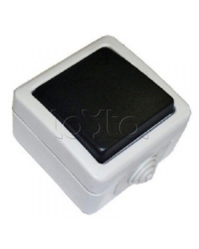 Экопласт EF600SW Переключатель одноклавишный с 2 мест с индикатором (сх.6L),10A (сер.) в Октябрьском Розетки компьютерные и телефонные Pintop.ru