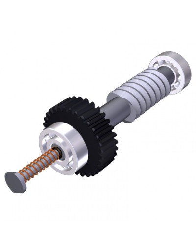 Червяк редуктора FAST40 Came 119RID374 в Октябрьском Запчасти для шлагбаумов и автоматики Pintop.ru