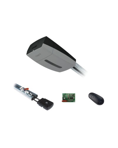 Came V13DMS3.25 KIT (до 3,25 м до 21 м2) - Комплект автоматики для секционных ворот высотой до 3,25 м на основе привода VER13DMS в Октябрьском Устройства радиоуправления для шлагбаумов и автоматики Pintop.ru