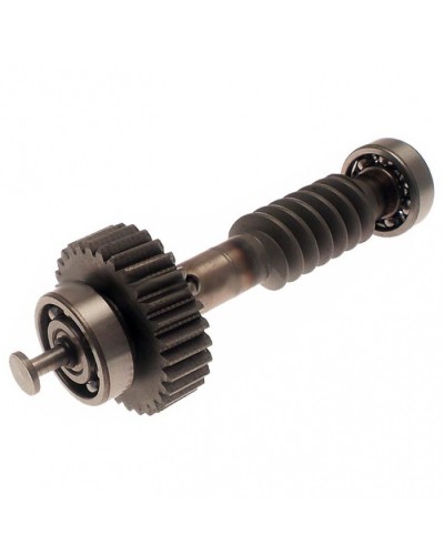 Червяк редуктора FAST в сборе Came 119RID228 в Октябрьском Запчасти для шлагбаумов и автоматики Pintop.ru