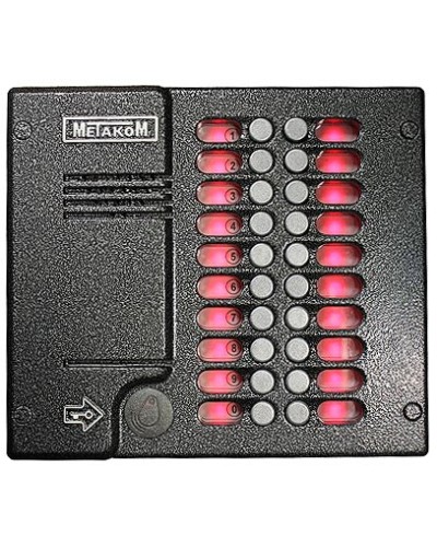 Блок вызова домофона Метаком MK20.2-RFEV в Октябрьском Вызывные видеопанели малоабонентные Pintop.ru