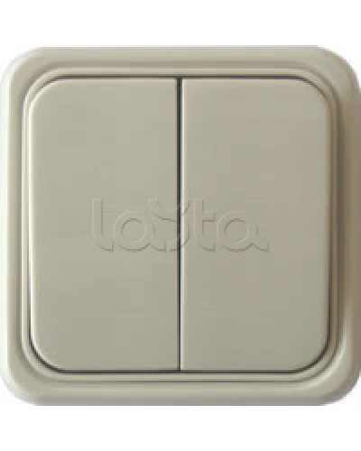 Выключатель двухклавишный открытой установки Экопласт, схема 5, (бежевый) в Октябрьском Розетки компьютерные и телефонные Pintop.ru