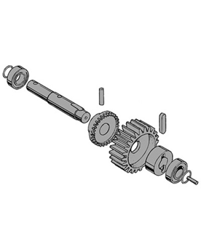 Вал в сборе C-BY Came 119RIC031 в Октябрьском Запчасти для шлагбаумов и автоматики Pintop.ru