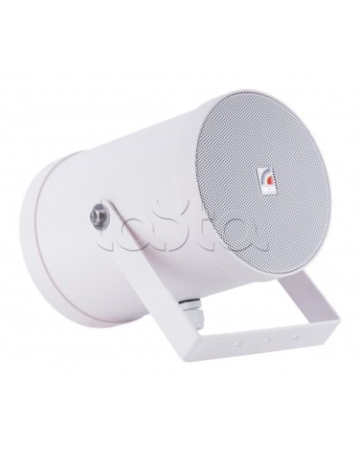 Двунаправленный Прожектор звуковой ROXTON SW-10T2 в Октябрьском Система оповещения и трансляции Roxton Pintop.ru