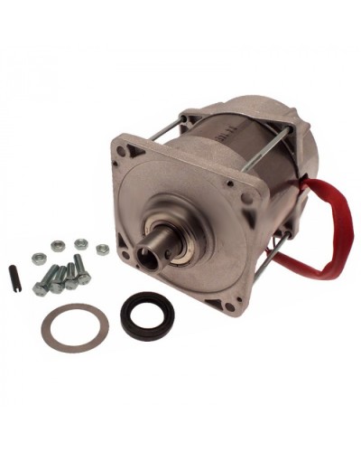 Электродвигатель FERNI Came 119RID087 в Октябрьском Запчасти для шлагбаумов и автоматики Pintop.ru