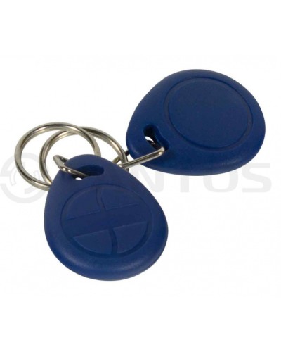 Брелок Tantos Smart-брелок TS 13,56МГц 1K в Октябрьском Оптовые идентификаторы Pintop.ru