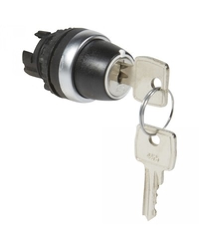 Переключатель с ключом № 455 Osmoz для комплектации без подсветки Legrand 023955 в Октябрьском Дополнительное оборудование для СКУД Pintop.ru