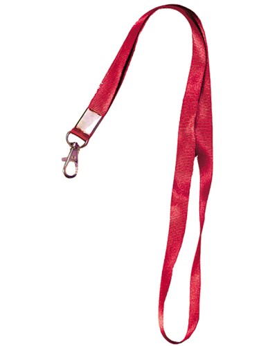 Лента шёлковая с металлическим карабином-защёлкой Tantos TS-STR (red) в Октябрьском Дополнительное оборудование для СКУД Pintop.ru