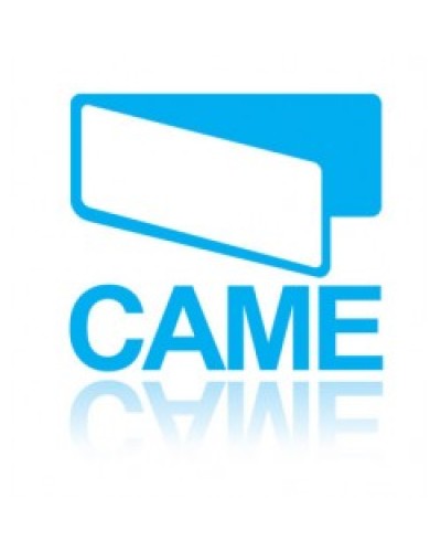 Конденсатор 31 MKF Came 119RIR299 в Октябрьском Запчасти для шлагбаумов и автоматики Pintop.ru