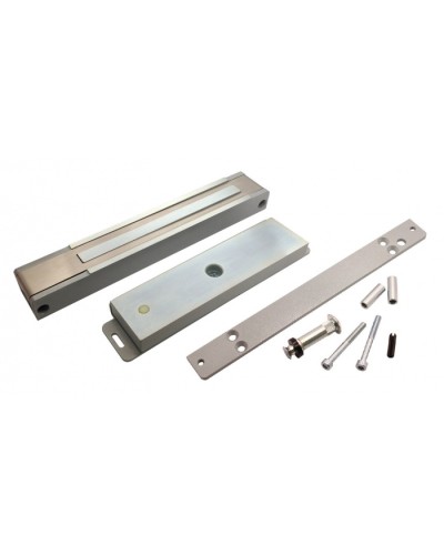 Электромагнитный замок пожаробезопасный влагозащищённый ALeko ALM-300FR (12В) в Октябрьском Электромагнитные замки Pintop.ru