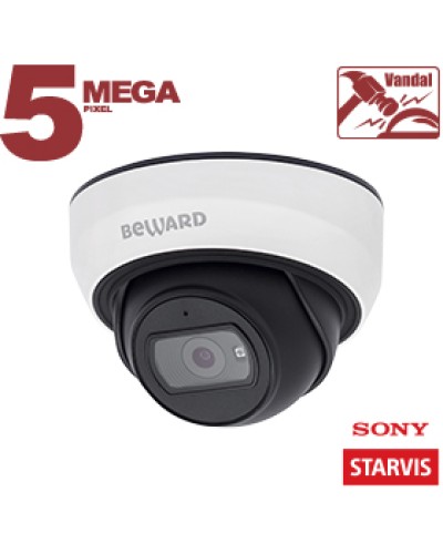 IP-камера видеонаблюдения купольная Beward SV3210DBS в Октябрьском IP-камеры Pintop.ru