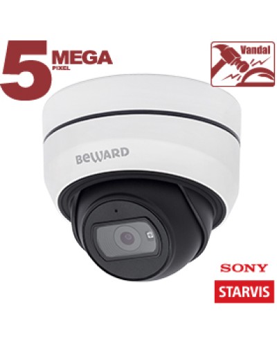 IP-камера видеонаблюдения купольная Beward SV3212DB в Октябрьском IP-камеры Pintop.ru