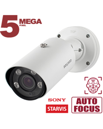 IP-камера видеонаблюдения в стандартном исполнении Beward SV3218RBZ2 в Октябрьском IP-камеры Pintop.ru