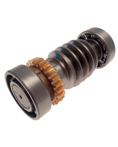 Червяк FROG Came 119RIA016 в Октябрьском Запчасти для шлагбаумов и автоматики Pintop.ru