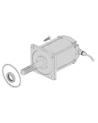 Электродвигатель Came 119RIA025 в Октябрьском Запчасти для шлагбаумов и автоматики Pintop.ru