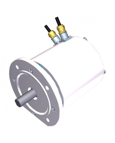 Электродвигатель FROG-MD Came 119RIA080 в Октябрьском Запчасти для шлагбаумов и автоматики Pintop.ru