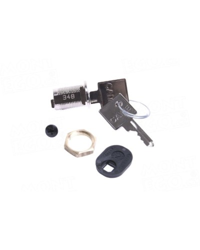 Замок разблокировки BXV Came 119RIBS011 в Октябрьском Запчасти для шлагбаумов и автоматики Pintop.ru