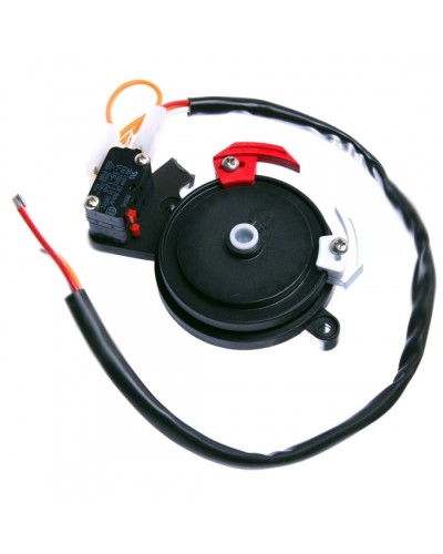 Концевые микровыключатели в сборе BX-243 Came 119RIBX041 в Октябрьском Запчасти для шлагбаумов и автоматики Pintop.ru