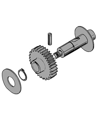 Вал в сборе C100 Came 119RIC011 в Октябрьском Запчасти для шлагбаумов и автоматики Pintop.ru