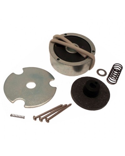 Электромагнит AMICO в сборе Came 119RID274 в Октябрьском Запчасти для шлагбаумов и автоматики Pintop.ru