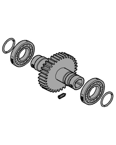 Вал выходной EMEGA Came 119RIE062 в Октябрьском Запчасти для шлагбаумов и автоматики Pintop.ru