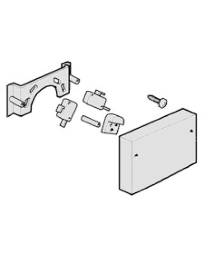Микровыключатели G4000, G3750 Came 119RIG040 в Октябрьском Запчасти для шлагбаумов и автоматики Pintop.ru