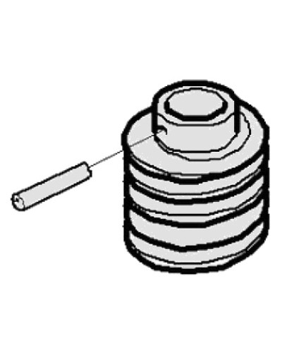 Червяк G2500 Came 119RIG094 в Октябрьском Запчасти для шлагбаумов и автоматики Pintop.ru