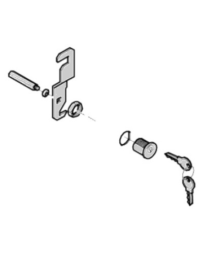 Замок дверцы G4040 G4041 Came 119RIG176 в Октябрьском Запчасти для шлагбаумов и автоматики Pintop.ru