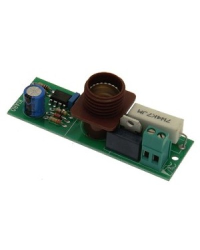 Плата лампы KIARO 24 Came 119RIR030 в Октябрьском Запчасти для шлагбаумов и автоматики Pintop.ru