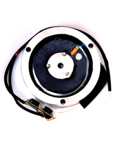 Электромагнит BY1500T Came 119RIY034 в Октябрьском Запчасти для шлагбаумов и автоматики Pintop.ru