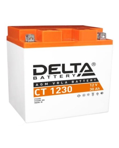 Аккумулятор АКБ 12 - 30 Delta CT 1230 в Октябрьском Электротехническое оборудование Pintop.ru