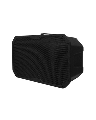 Акустическое устройство DSPPA LRAS-1830 в Октябрьском Система оповещения и трансляции Dsppa Pintop.ru